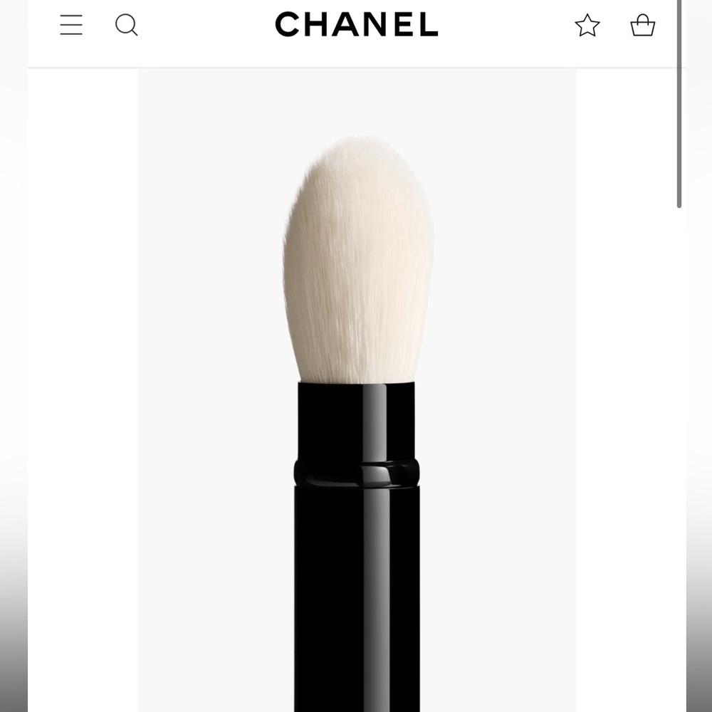CHANEL BRUSH